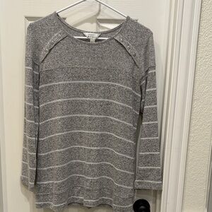 Market and Spruce Gray and White Striped Knit Top